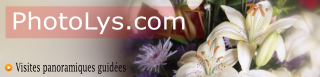 Lien PhotoLys